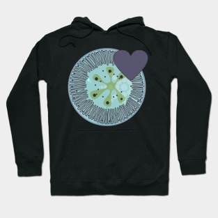 Diatom - Lindavia (icy blue) Hoodie